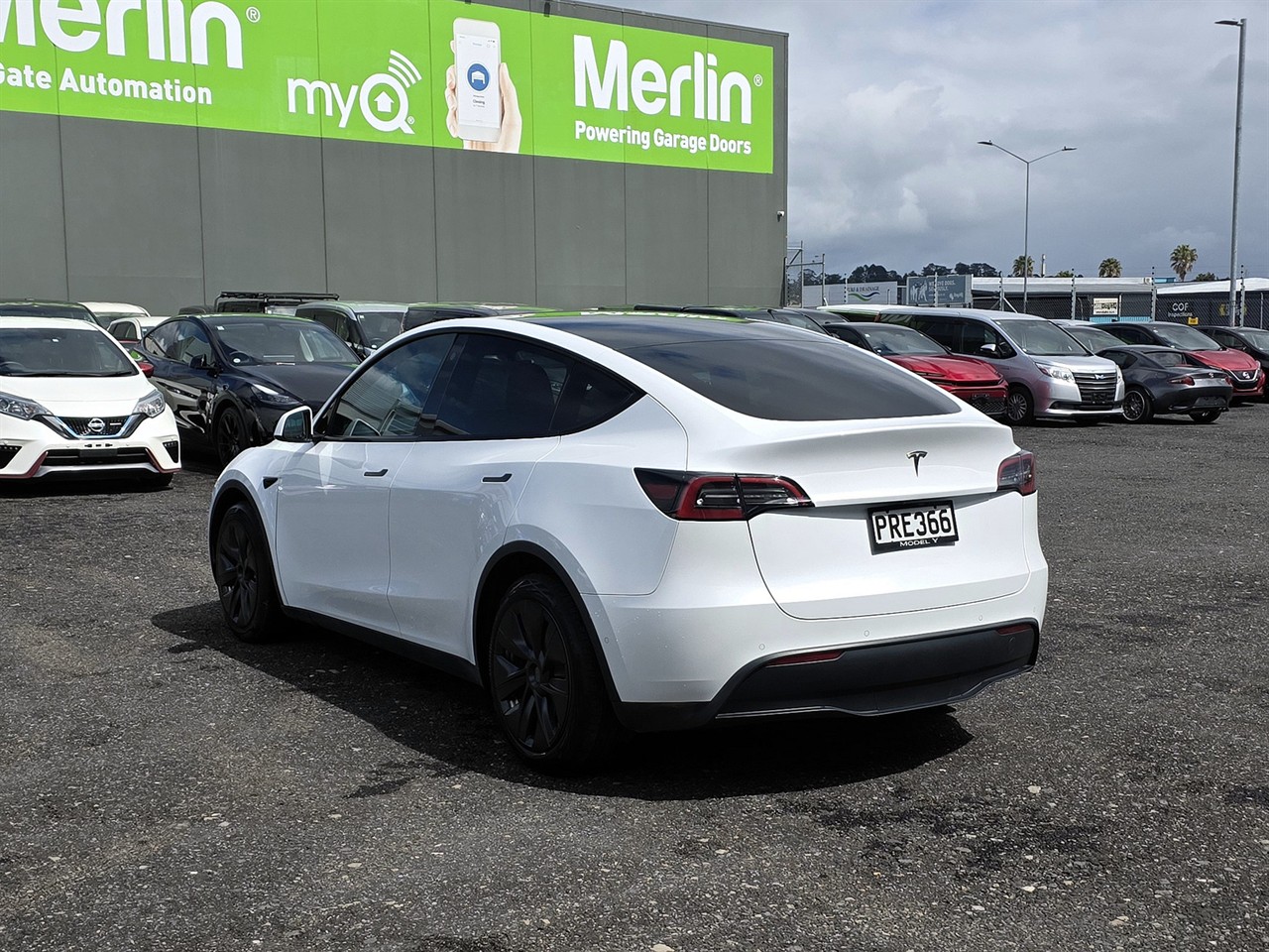 2023 Tesla Model Y