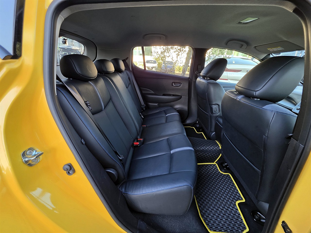 2019 Nissan LEAF