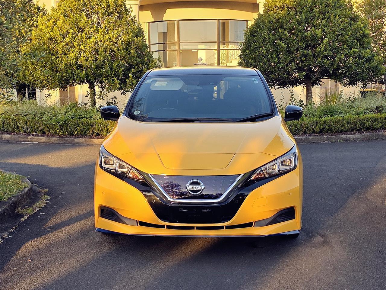 2019 Nissan LEAF