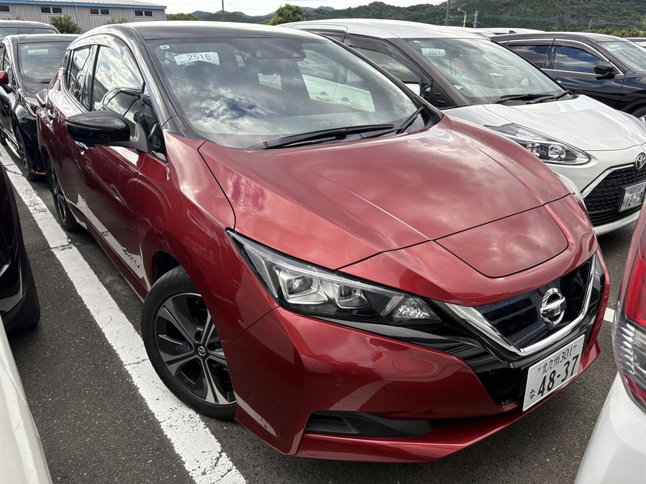 2019 Nissan LEAF